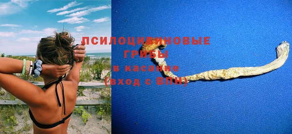 ГАЛЛЮЦИНОГЕННЫЕ ГРИБЫ Пересвет